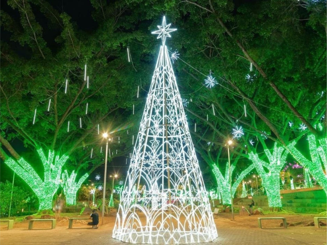 Árvore de Natal